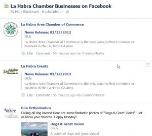 Chamber of Commerce Facebook Interest List