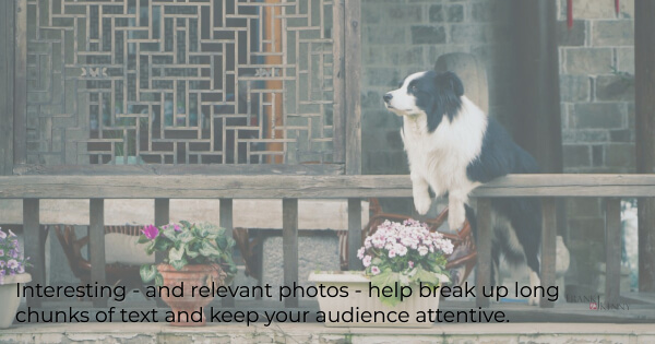 Chamber blog topics and ideas: use pictures for interest and break up text