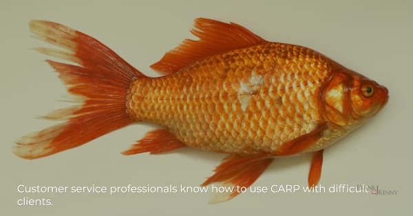 Image of a goldfish to illustrate the idea of using the CARP method in dealing with difficult chamber members.