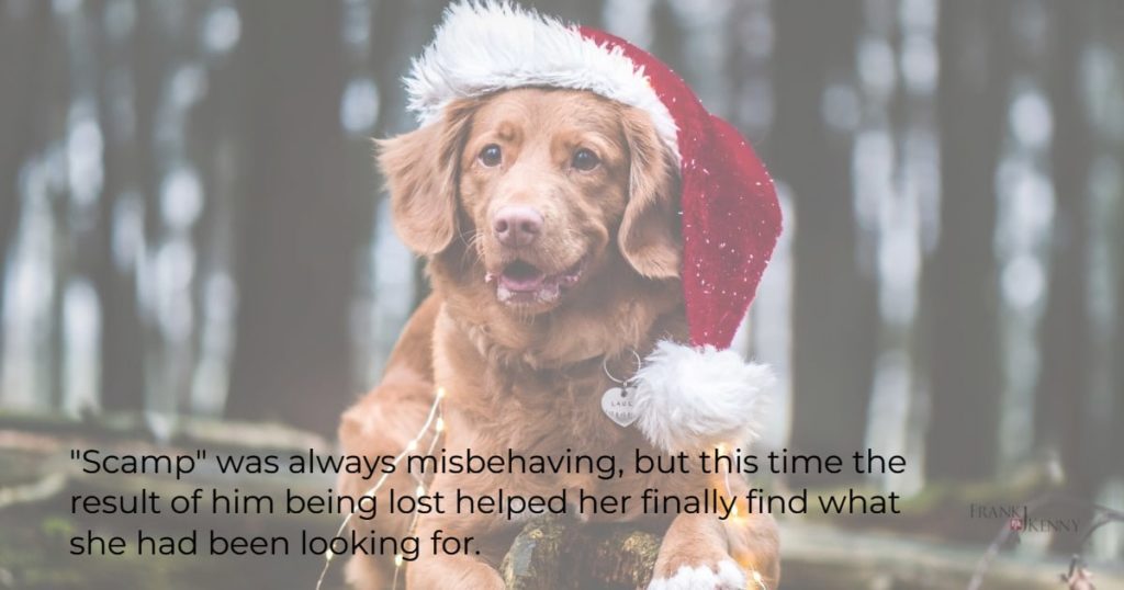 Image of a dog that could be from a Hallmark christmas movie.