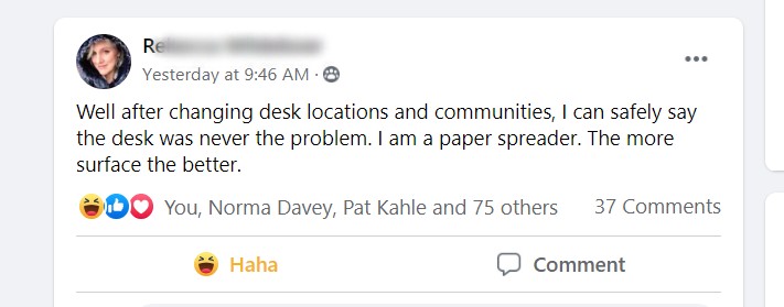 Screenshot of Chamber executive admitting in online group her organizing tips re: paper and desks.